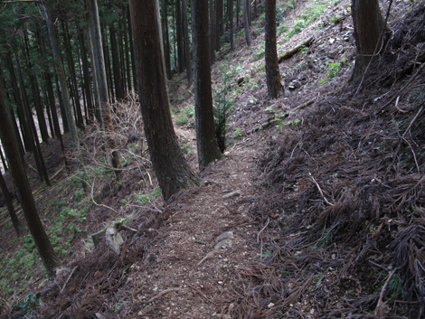 20170113hike (430)